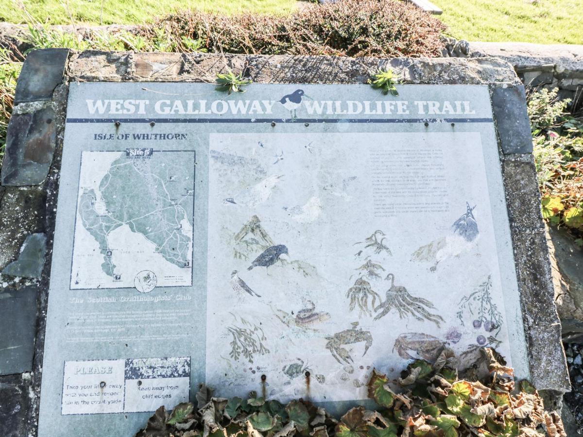 Appartamento The Clamshell Isle of Whithorn Esterno foto