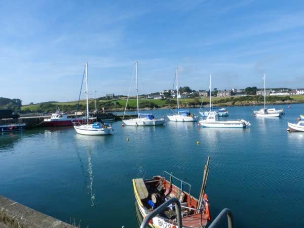 Appartamento The Clamshell Isle of Whithorn Esterno foto